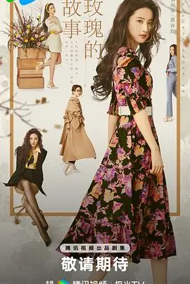 山茶花开 电视剧 2025